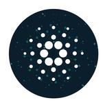 Cardano ADA Wallet Guide
