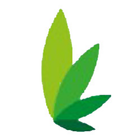 Medi Green icon