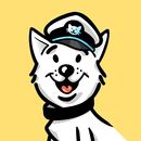 P2P Video Surveillance APK