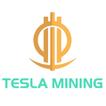 Tesla Mining