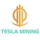 Tesla Mining 아이콘