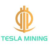 Tesla Mining