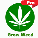 Weed Pro: Bud Farm APK