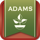 Adams Weekly Sales ícone