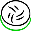 Software
