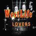 WESTLIFE LOVERS