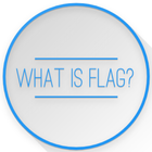 What is flag? icon