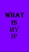 What Is My IP スクリーンショット 1