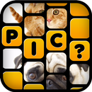 What’s The Picture - Guess Pic APK