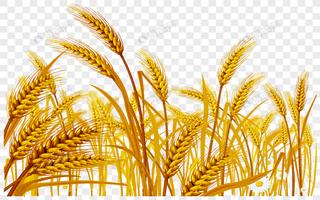 Wheat Farming capture d'écran 1