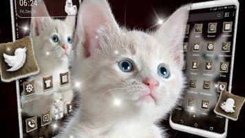 White Kitten Theme Affiche