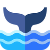 白鲸 APK