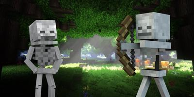 Wither Skeleton Skins Plakat