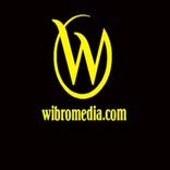 Wibro Media