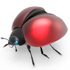 Lucky Ladybug icône