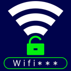 Wifi Router Password IP config icône