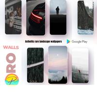 Wallpapers pro syot layar 1