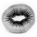 KiwiDict offline Wörterbuch APK