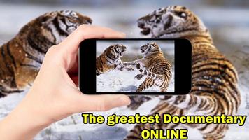 Wild Animal Documentary syot layar 3