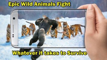 Wild Animal Documentary Affiche