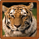 Wildlife Sounds APK