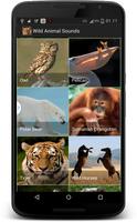 Vahşi Hayvan sesleri Ekran Görüntüsü 1