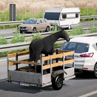US Truck Animal Transport Game icon