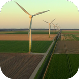 Windmills Video Live Wallpaper