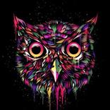 WINKING OWL Theme for KLWP