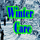Winter Care APK