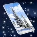 Winter Forest Snow Wallpapers APK