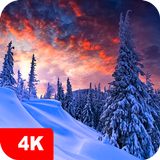 Winter Hintergrundbilder 4K