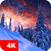 Winter wallpapers 4K APK