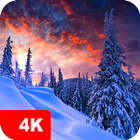 Winter wallpapers 4K icon