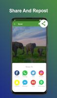 برنامه‌نما Status Saver عکس از صفحه