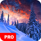 Winter Wallpapers PRO أيقونة