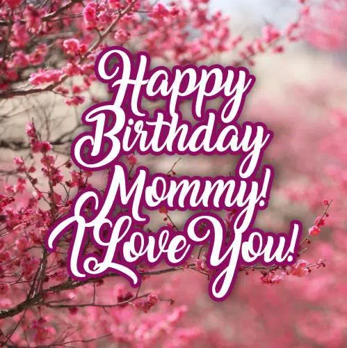 Bon Anniversaire Maman Pour Android Telechargez L Apk