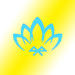 Lotus CCT