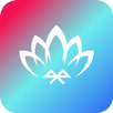 Lotus Lantern APK