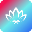 Lotus Lantern ikona