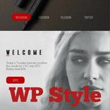 Wp_style