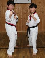 Taekwondo Korea plakat