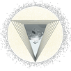 VChat APK