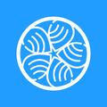 KOWLOON GLOBAL