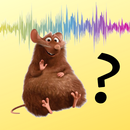 Test de sonidos de animales aplikacja