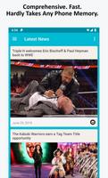 Wrestling News 海报