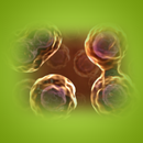 Cell Cycle APK