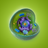 Cell Structure APK