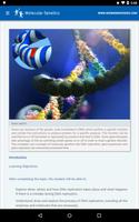 Molecular Genetics Affiche