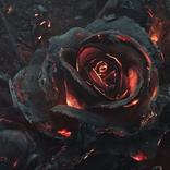 Black Walls | Wallpapers HD 4K